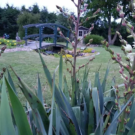 Pribbenower * Pribbenow