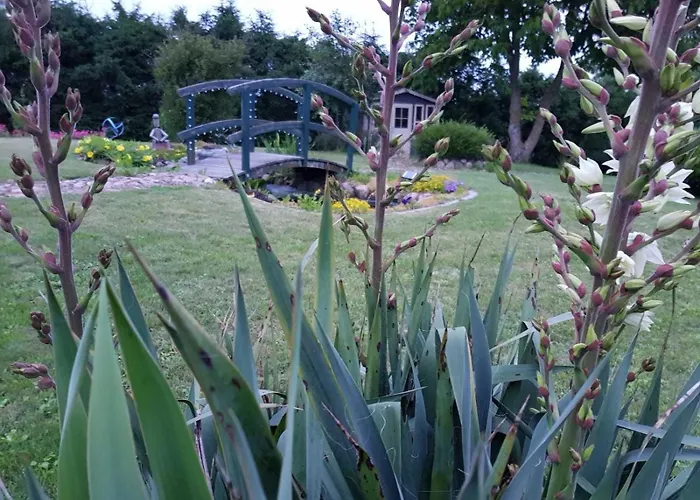 Pribbenower * Pribbenow